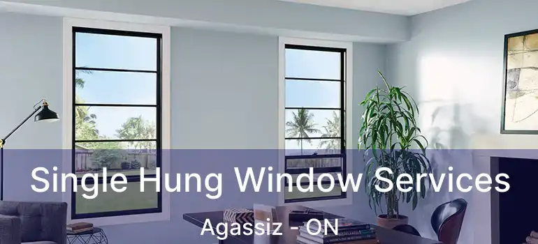  Single Hung Window Services Agassiz - ON