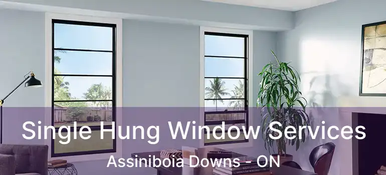  Single Hung Window Services Assiniboia Downs - ON
