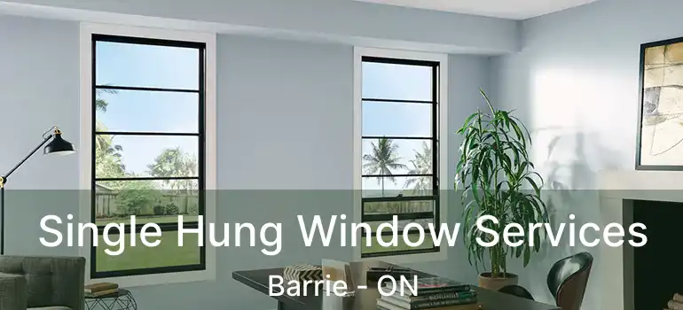  Single Hung Window Services Barrie - ON