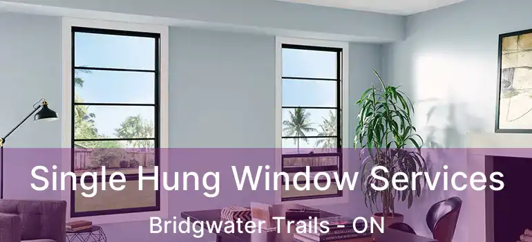  Single Hung Window Services Bridgwater Trails - ON