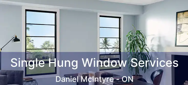  Single Hung Window Services Daniel McIntyre - ON