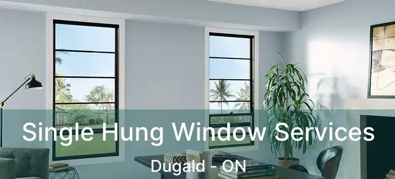  Single Hung Window Services Dugald - ON