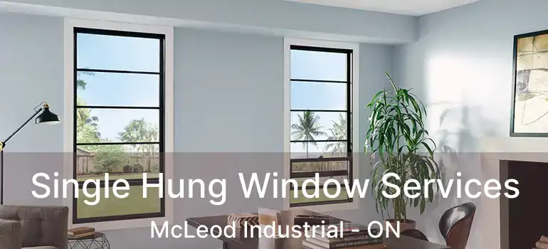  Single Hung Window Services McLeod Industrial - ON