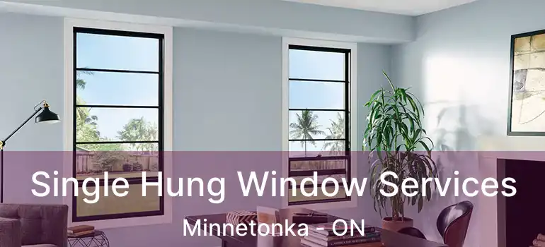 Single Hung Window Services Minnetonka - ON