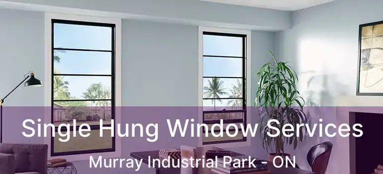  Single Hung Window Services Murray Industrial Park - ON