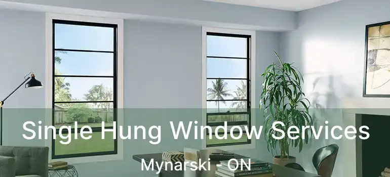  Single Hung Window Services Mynarski - ON