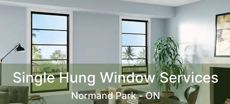  Single Hung Window Services Normand Park - ON