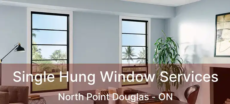  Single Hung Window Services North Point Douglas - ON