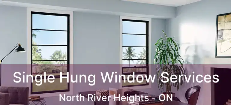  Single Hung Window Services North River Heights - ON