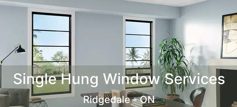  Single Hung Window Services Ridgedale - ON