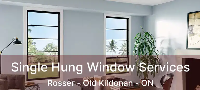  Single Hung Window Services Rosser - Old Kildonan - ON