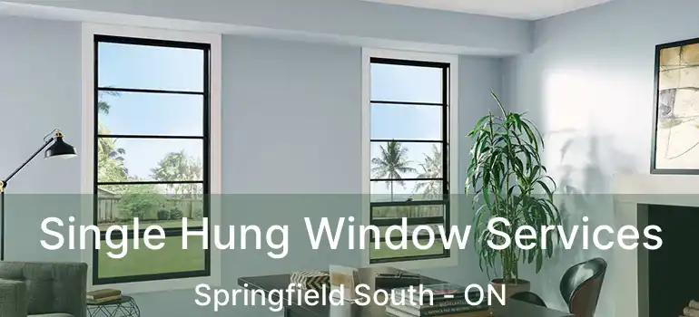  Single Hung Window Services Springfield South - ON