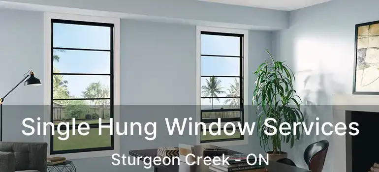  Single Hung Window Services Sturgeon Creek - ON