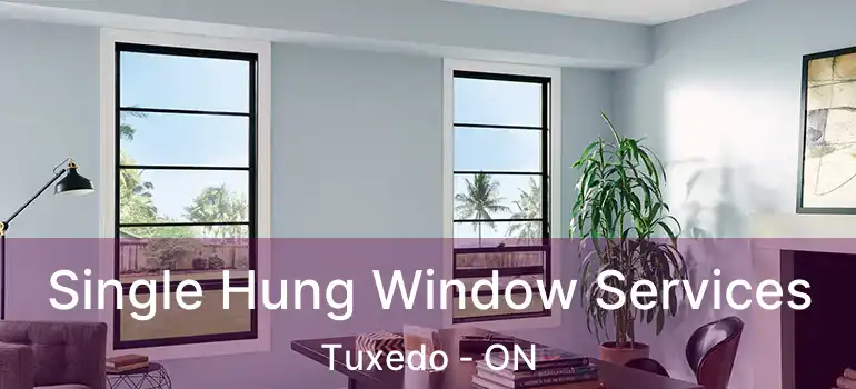  Single Hung Window Services Tuxedo - ON