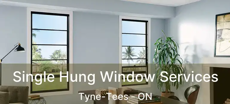  Single Hung Window Services Tyne-Tees - ON