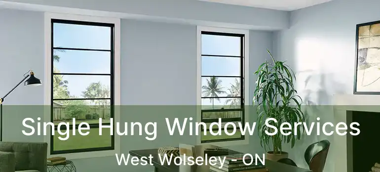  Single Hung Window Services West Wolseley - ON