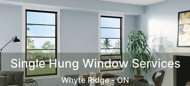  Single Hung Window Services Whyte Ridge - ON