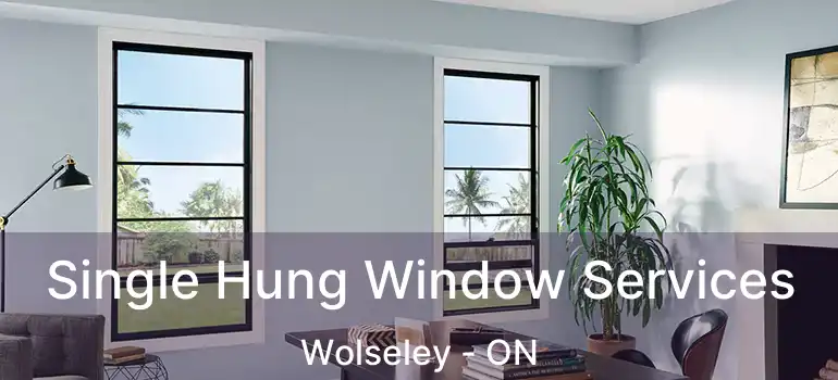  Single Hung Window Services Wolseley - ON