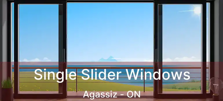  Single Slider Windows Agassiz - ON