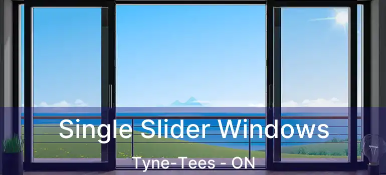  Single Slider Windows Tyne-Tees - ON