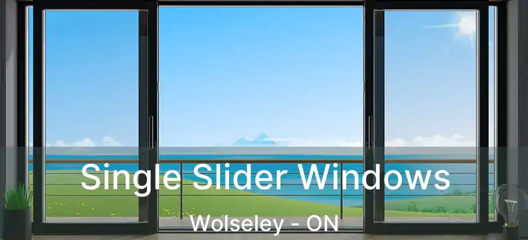  Single Slider Windows Wolseley - ON