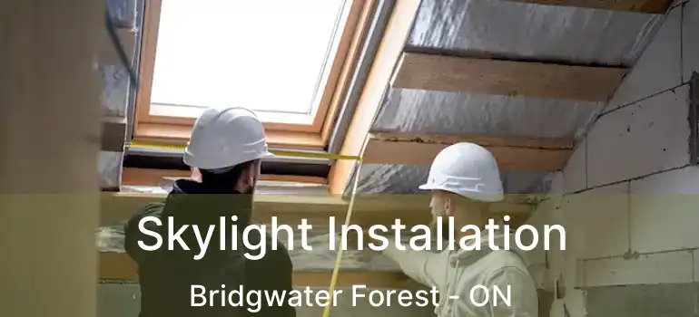  Skylight Installation Bridgwater Forest - ON