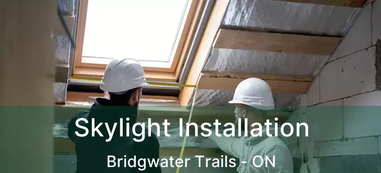  Skylight Installation Bridgwater Trails - ON