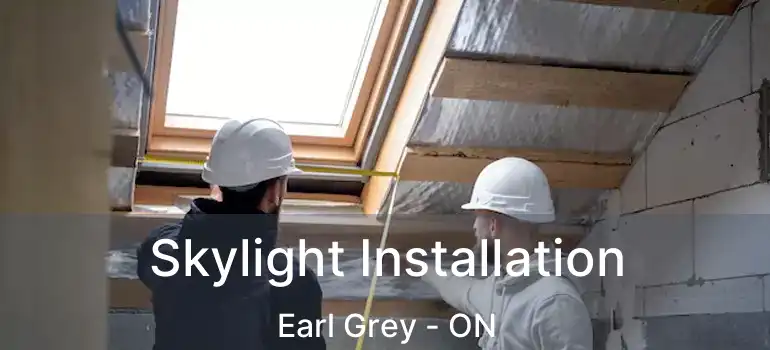  Skylight Installation Earl Grey - ON