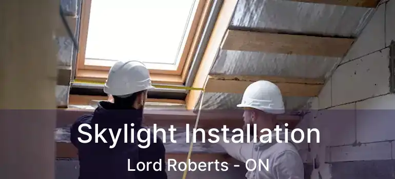  Skylight Installation Lord Roberts - ON