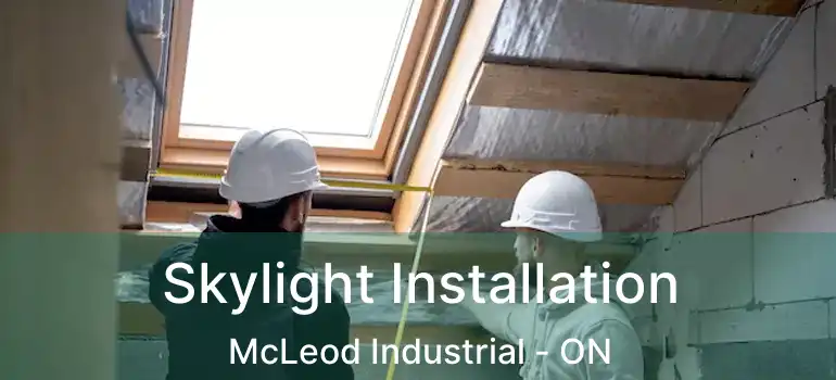  Skylight Installation McLeod Industrial - ON