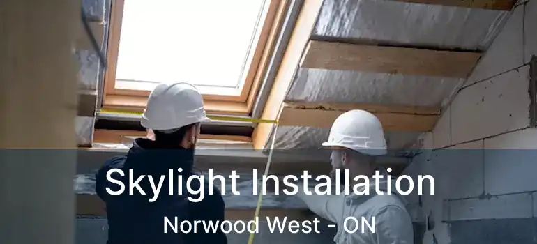  Skylight Installation Norwood West - ON