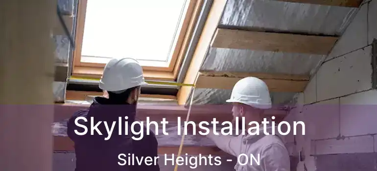  Skylight Installation Silver Heights - ON