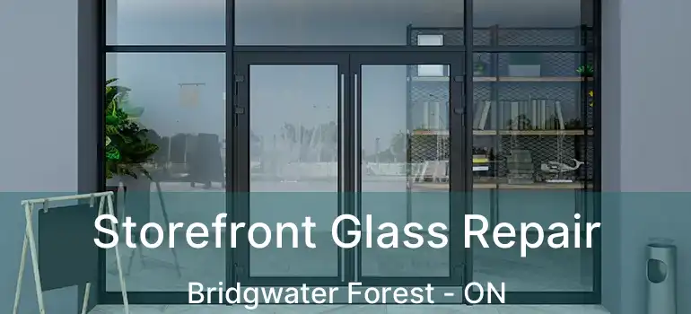  Storefront Glass Repair Bridgwater Forest - ON