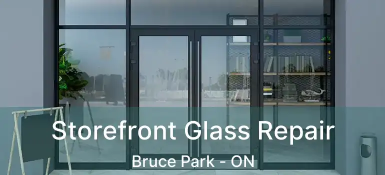  Storefront Glass Repair Bruce Park - ON