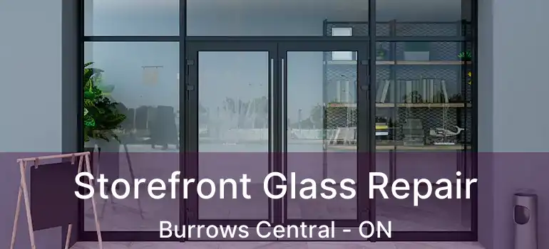  Storefront Glass Repair Burrows Central - ON