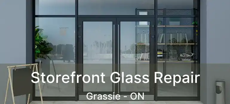  Storefront Glass Repair Grassie - ON