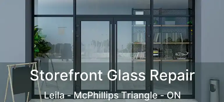 Storefront Glass Repair Leila - McPhillips Triangle - ON