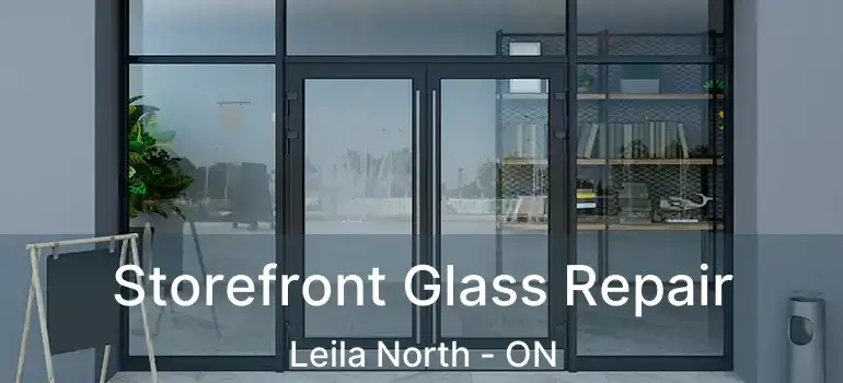  Storefront Glass Repair Leila North - ON