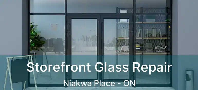  Storefront Glass Repair Niakwa Place - ON