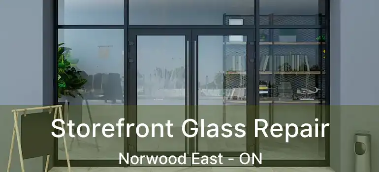 Storefront Glass Repair Norwood East - ON