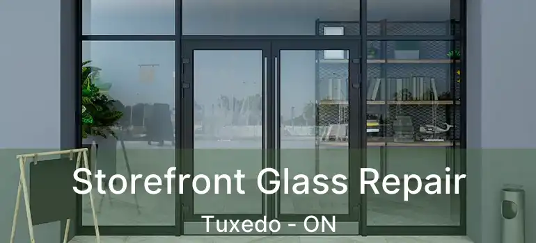  Storefront Glass Repair Tuxedo - ON