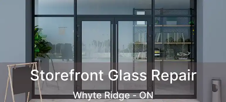 Storefront Glass Repair Whyte Ridge - ON