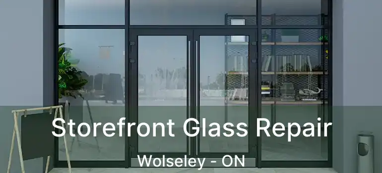  Storefront Glass Repair Wolseley - ON