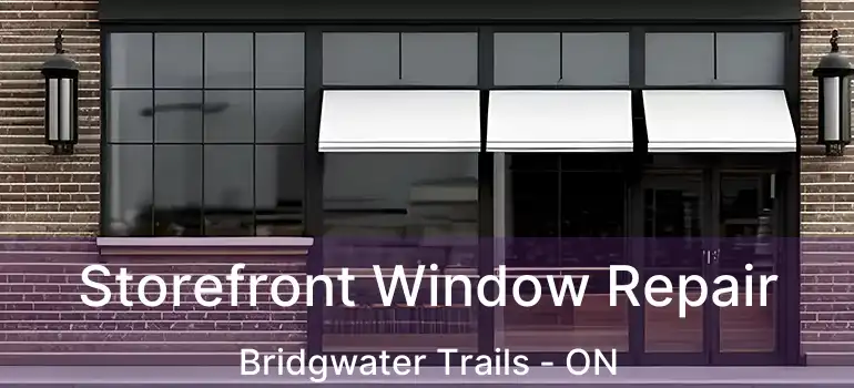  Storefront Window Repair Bridgwater Trails - ON