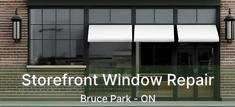  Storefront Window Repair Bruce Park - ON