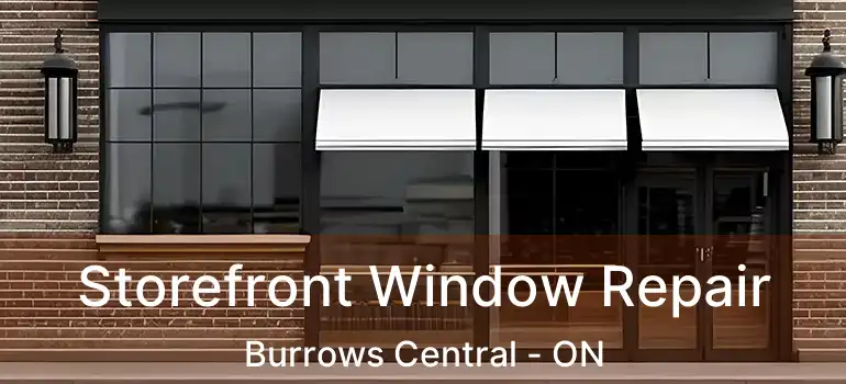  Storefront Window Repair Burrows Central - ON