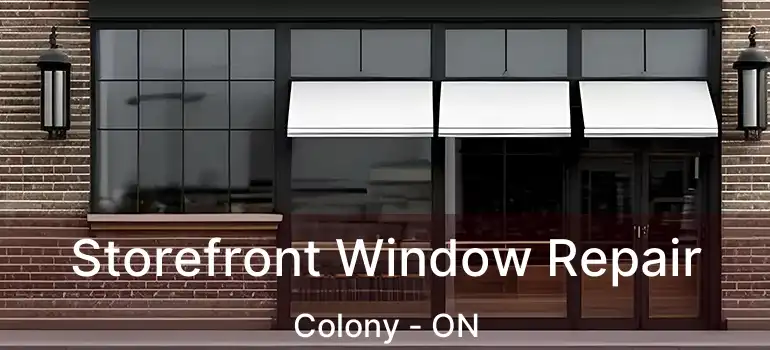  Storefront Window Repair Colony - ON