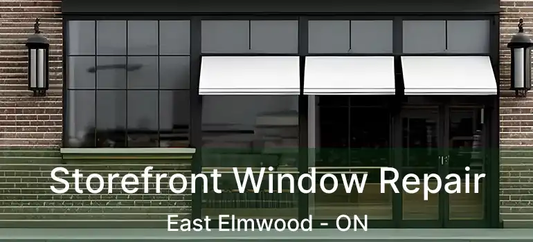  Storefront Window Repair East Elmwood - ON