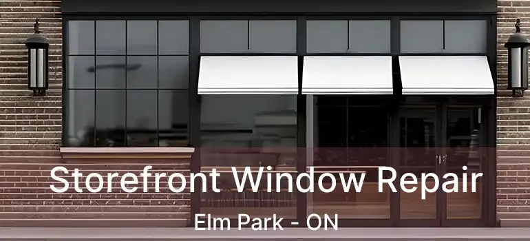  Storefront Window Repair Elm Park - ON