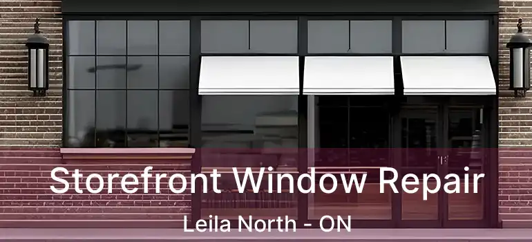  Storefront Window Repair Leila North - ON